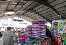 Sobreproducción de huevos y maíz en Ecuador provoca caída de precios