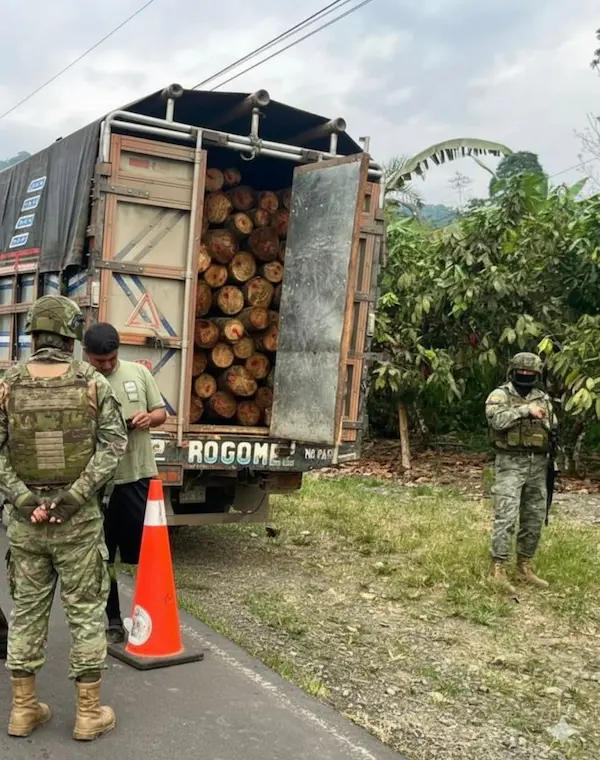 Ejército decomisa más de 5 metros cúbicos de madera ilegal
