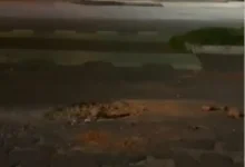 Jóvenes heridos en accidente piden atención del Municipio