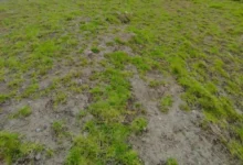 Hombre de Riobamba detenido por estafa de USD 5000