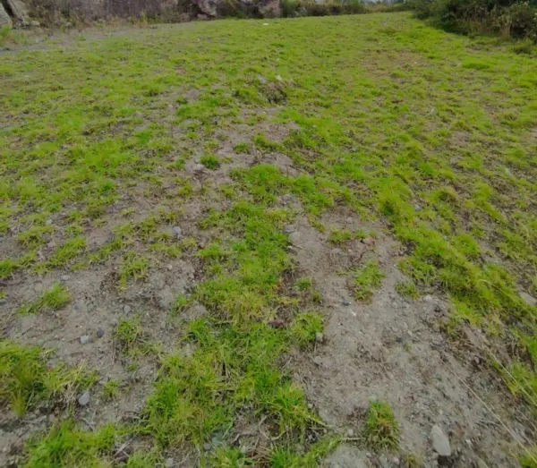 Hombre de Riobamba detenido por estafa de USD 5000