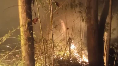 Incendio forestal en Chambo revela emergencia ambiental
