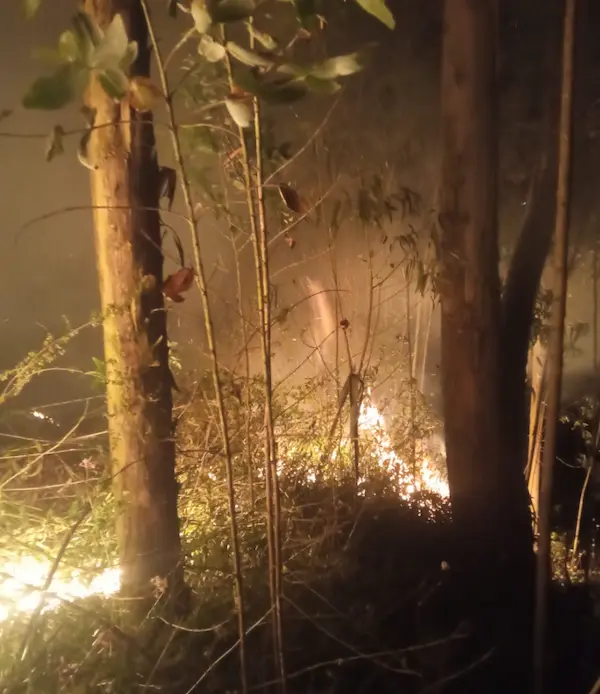 Incendio forestal en Chambo revela emergencia ambiental