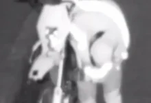 Video | Intento de robo de moto en Riobamba