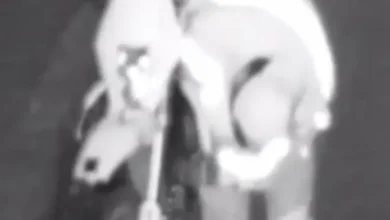 Video | Intento de robo de moto en Riobamba