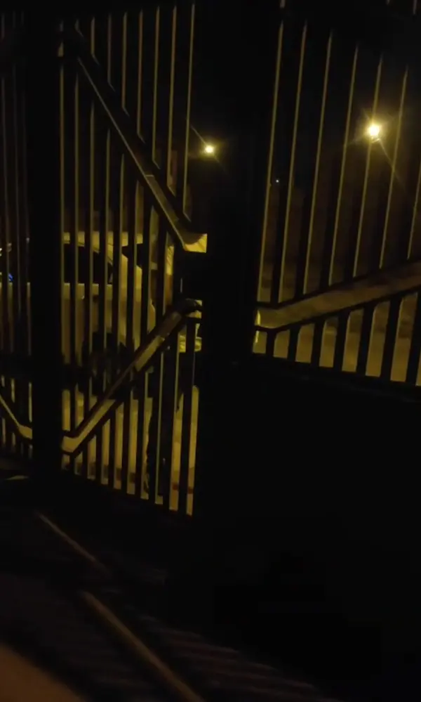 El enemigo social intenta forzar las seguridades del inmueble