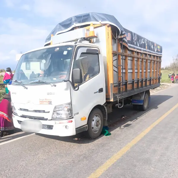 Camión causante de la desgracia a las puertas de Navidad