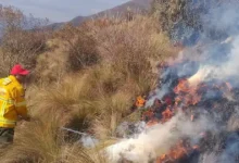 Bomberos de Chambo apagaron incendio forestal en Nochebuena