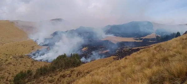 Una amplia extensión de terreno fue afectada con el siniestro