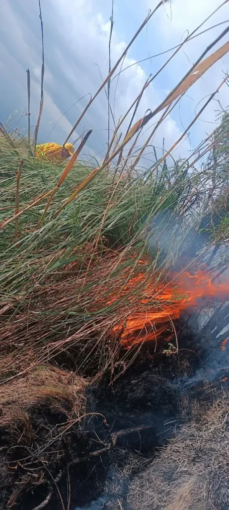 El trabajo decidido de los Héroes de Rojo mitigó la emergencia