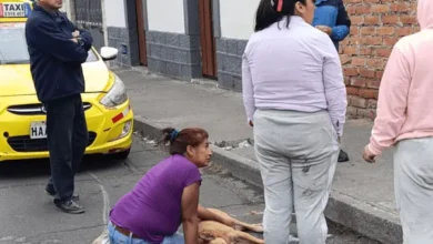 2 perros envenenados el 31 de diciembre en Riobamba