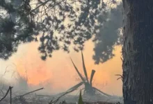 Bomberos Guano apagó incendio forestal en Pungal