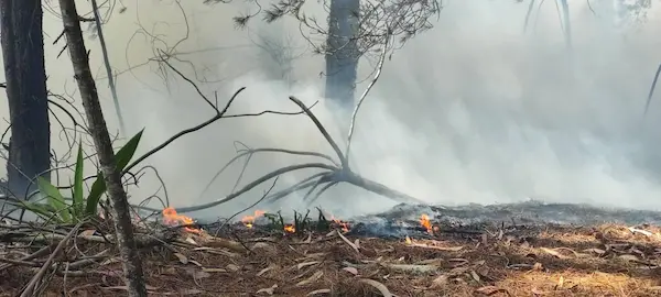 Pese a lo difícil de la batalla con las llamas, estas empezaron a ceder, hasta terminar extinguidas en su totalidad