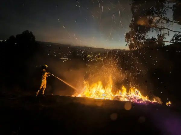 No se descuidó ningún milímetro afectado pro el temido fuego