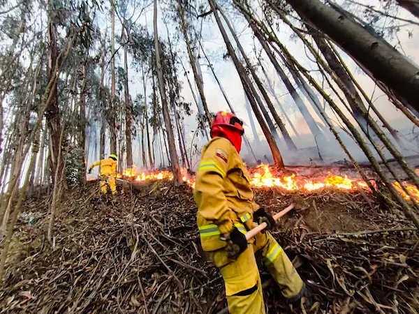 En el día y en la noche se desarrolló el arduo trabajo