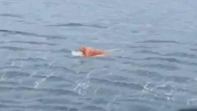Video | Pescador sobrevivió 17 horas en el mar aferrado a una puerta