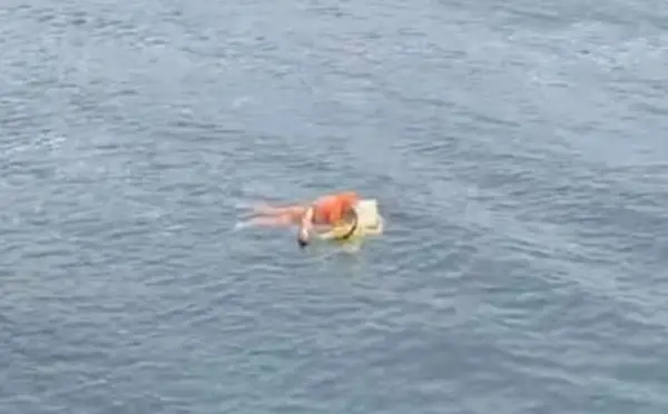 Supervivencia extrema: cómo el pescador resistió 17 horas en el mar