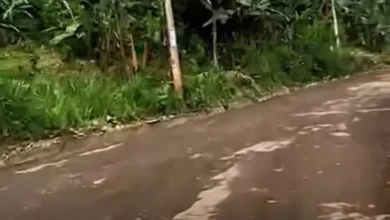 Avanzan trabajos de rasanteo en la vía Caluma - La Esmeralda.