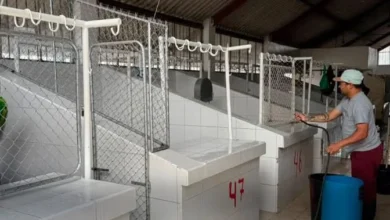 Camal de Saquisilí realizará el primer mantenimiento de 2026.