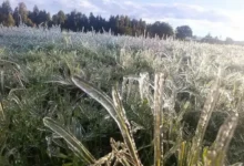 Daños en las cosechas encarecerían la vida en Ecuador en 2026