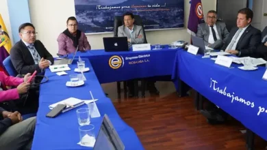 Fideicomiso de la Empresa Eléctrica Riobamba se decide el 20 de enero
