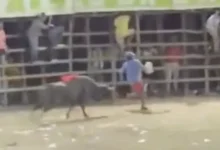 Video | Toro embiste y mata a hombre durante festival