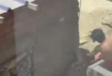 Video | Hombre agrede brutalmente a su madre de 69 años