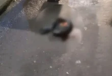 Hallan cabeza humana cerca a la Terminal de Puyo