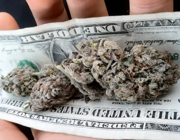 El negocio de las sustancias es muy lucrativo