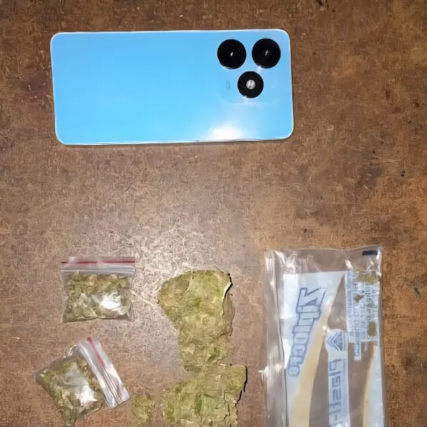 Evidencias que deberá analizar la Justicia para emitir un dictamen