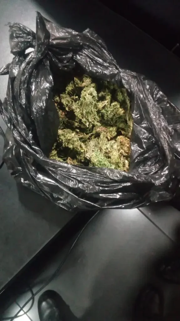 212 gramos de 'Diosa verde' lo metieron en aprietos con Fiscalía, que demostró su culpabilidad