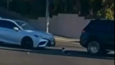 Video | Bebé es expulsado de un auto y casi muere