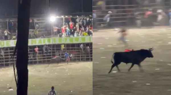 El momento exacto del ataque quedó grabado en video