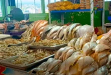 Ventas bajas y altos precios de mariscos en Latacunga.