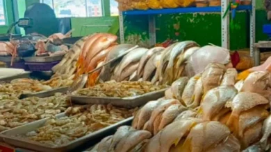 Ventas bajas y altos precios de mariscos en Latacunga.