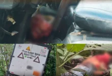 2 hombres asesinados al estilo sicariato en Las Naves.