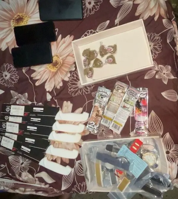 Evidencias encontradas durante el allanamiento