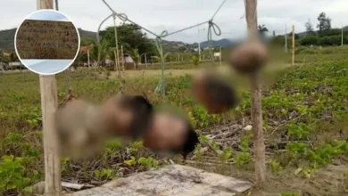 Hallan 5 cabezas colgadas y un mensaje amenazante
