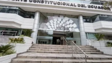 Corte Constitucional analizará caso de adopción de parejas del mismo sexo