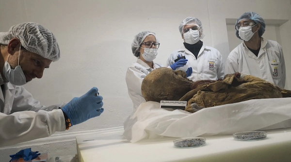 Estudios realizados a la momia de Guano 