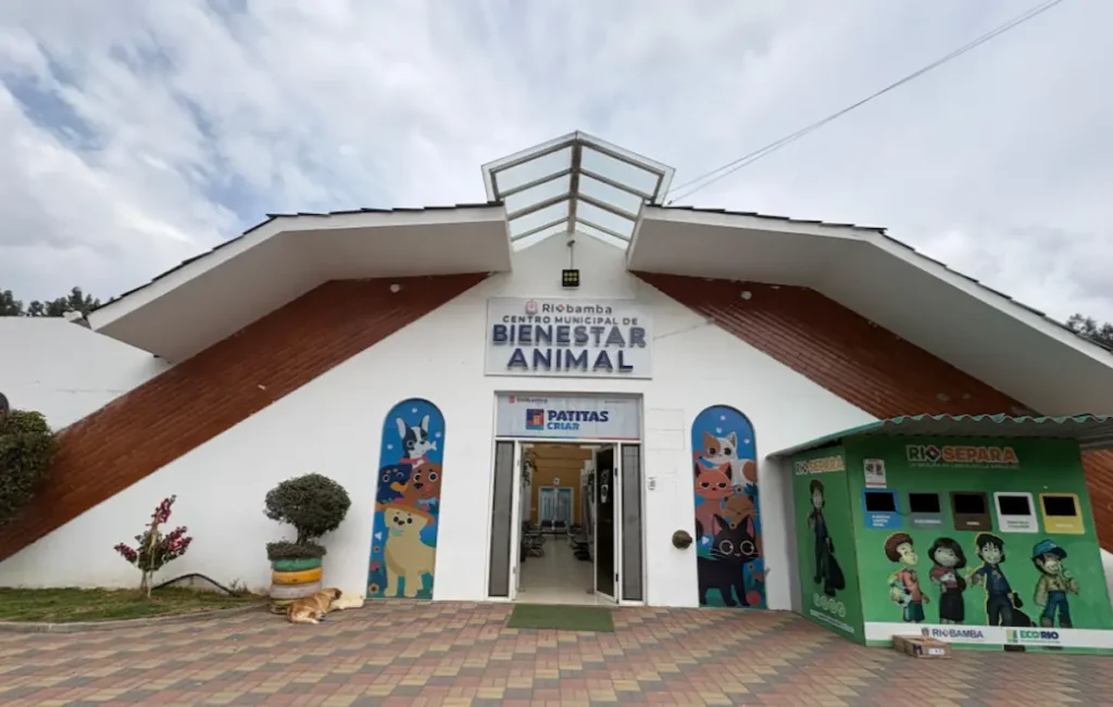 Esteriliza a tu mascota: este es el procedimiento a seguir