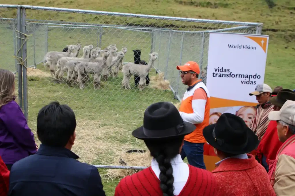 World Vision abre centro genético de alpacas en Chimborazo