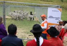 World Vision abre centro genético de alpacas en Chimborazo