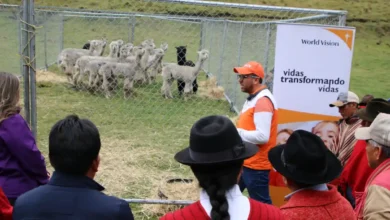 World Vision abre centro genético de alpacas en Chimborazo