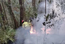 Los vientos avivaban el fuego, a la par del peligro