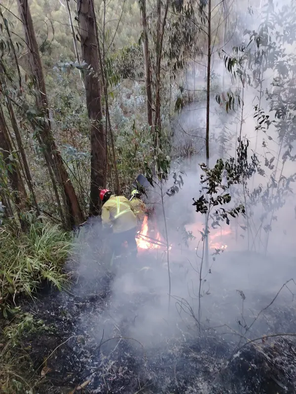 Los vientos avivaban el fuego, a la par del peligro