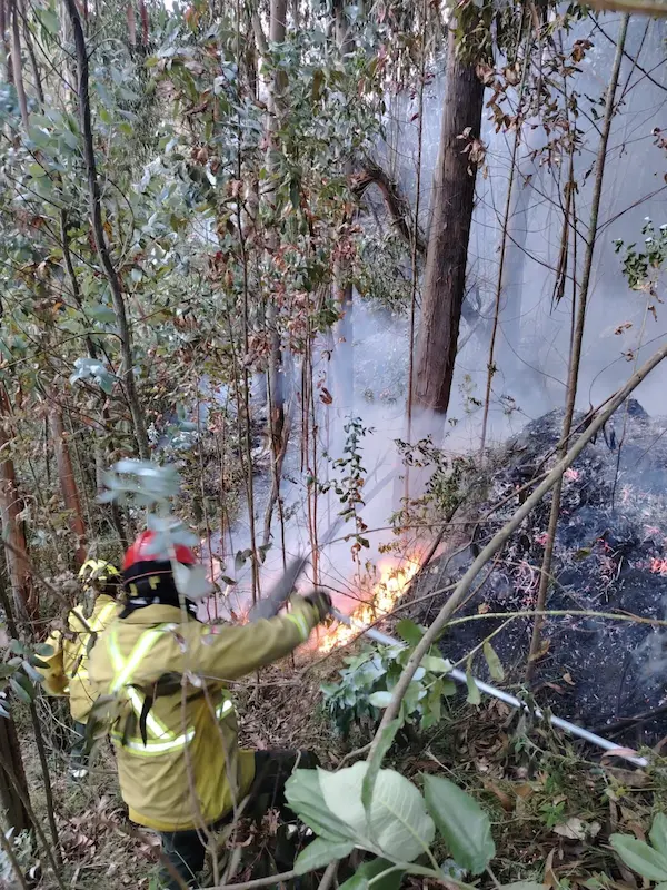 2 incendios forestales en Guano movilizaron a los Bomberos