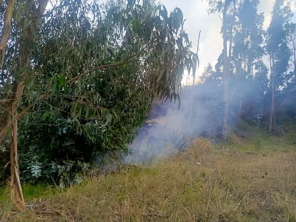 Los efectivos no se retiraron hasta ver que todos los puntos rojos queden completamente apagados