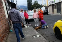 Maltrato animal en Riobamba: ¿hay sanciones?