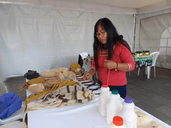 Municipio Riobamba abre talleres gratuitos: cómo inscribirse